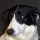 Twylah was adopted in July, 2005